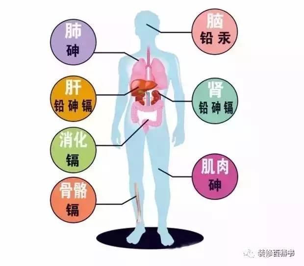 乳胶材料植入身体有没有危害