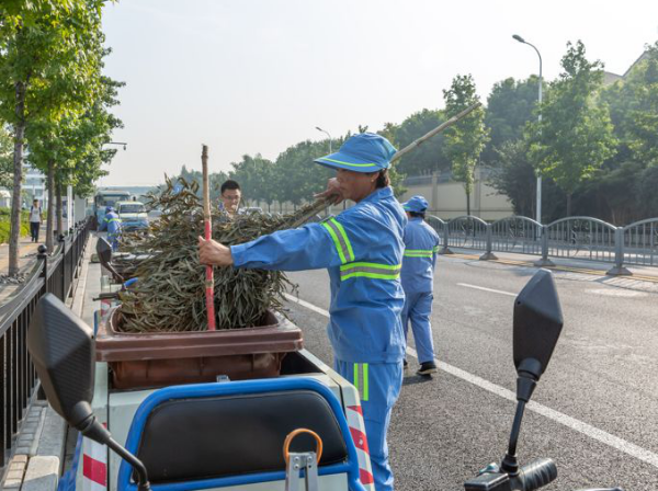 高端环卫装备，引领城市环境管理新时代的先锋力量