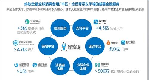 金属包装行业，现状、挑战与未来展望,专业说明评估_粉丝版56.92.35