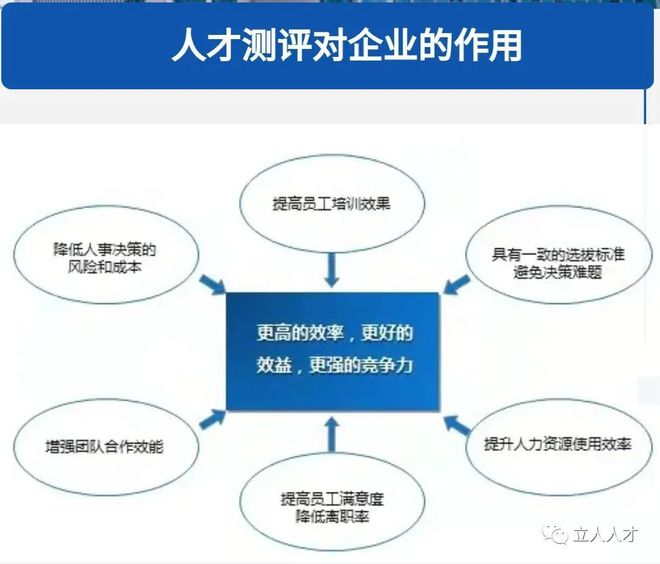 抗皱用品与车载人工智能系统哪个好