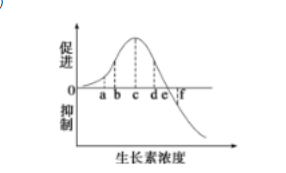 光衰减器的原理