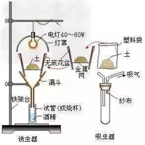 牛角梳的原理,专业解析评估_精英版39.42.55