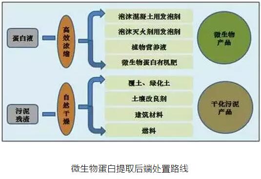 蛋白饲料新技术，引领饲料产业革新与发展,实地数据验证执行_网红版88.79.42