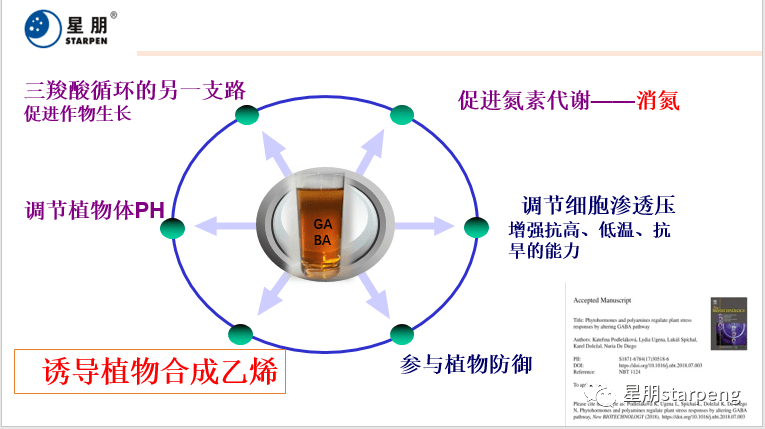 耳夹是否好用，深入解析其优缺点和使用场景,可靠计划策略执行_限量版36.12.29