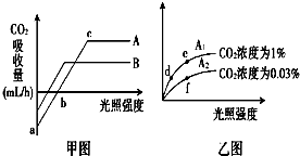 光衰减器的种类及其作用解析,快捷方案问题解决_Tizen80.74.18