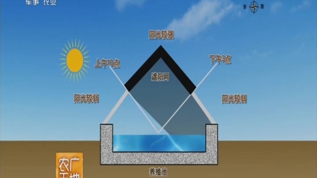 农广天地树脂工艺品制作视频