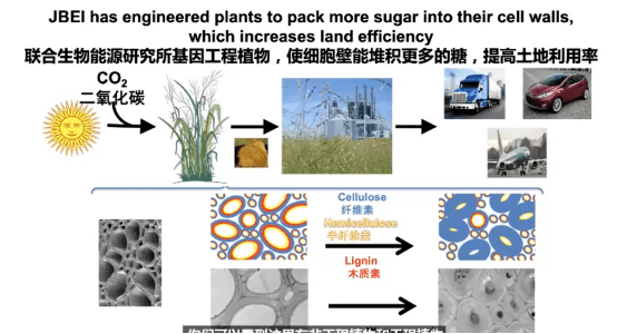 化学合成材料树脂，基础、应用与未来发展,高速方案规划_领航款48.13.17