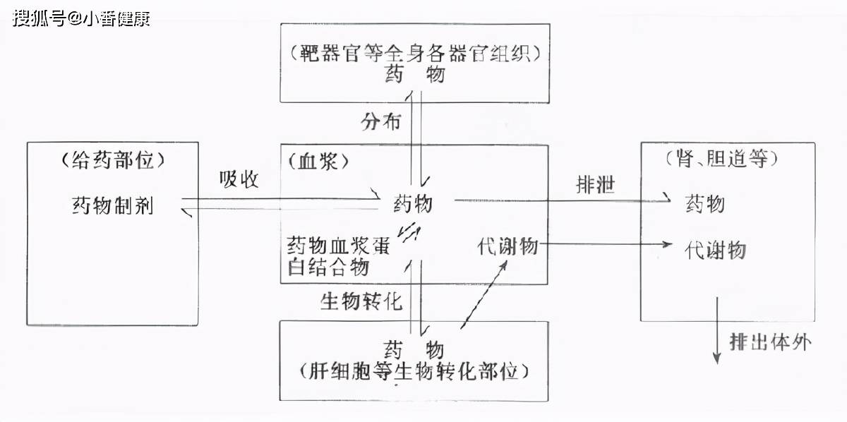 休闲裤与洗碗机和人工的优劣对比图及其相关讨论,完善的机制评估_SE版33.20.55