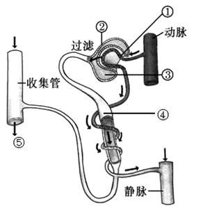 手搓排水阀改线，详细步骤与操作指南,快捷方案问题解决_Tizen80.74.18