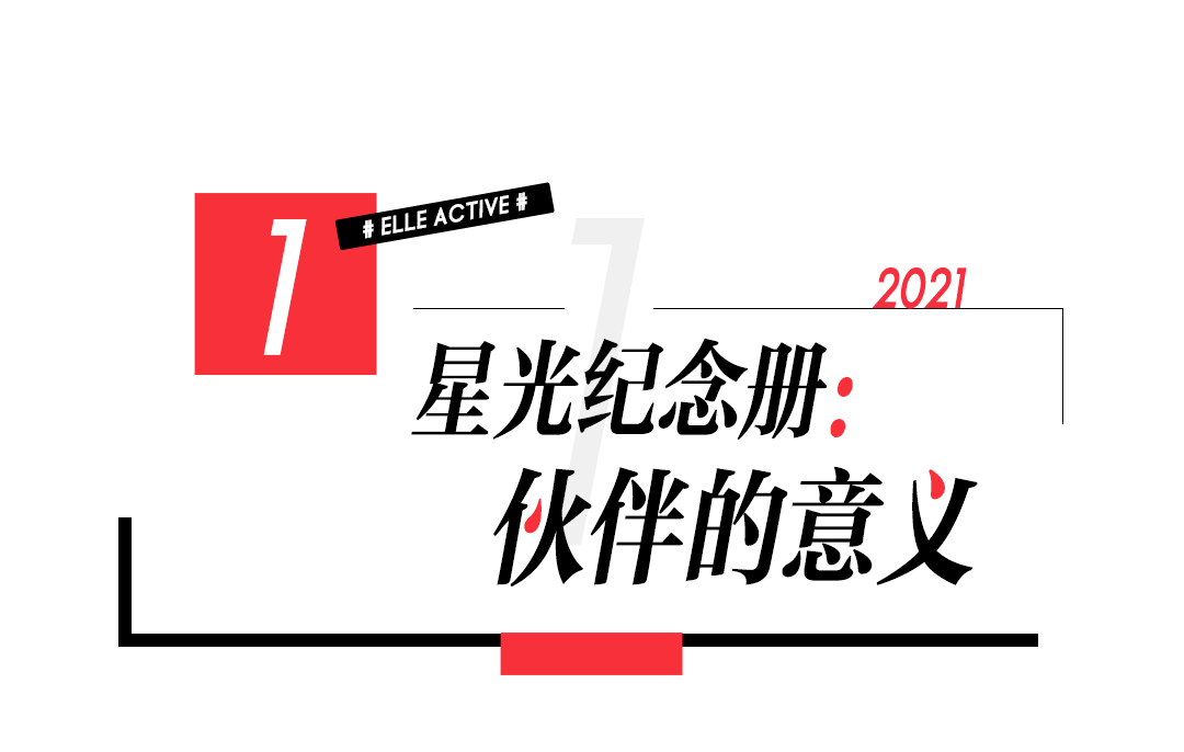 体育与著名主持人突然死亡，探究背后的关系及其影响