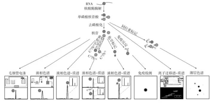 有效硫化体系的配合方式