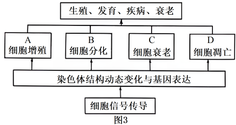 炔烃及衍生物与人工智能的论文选题