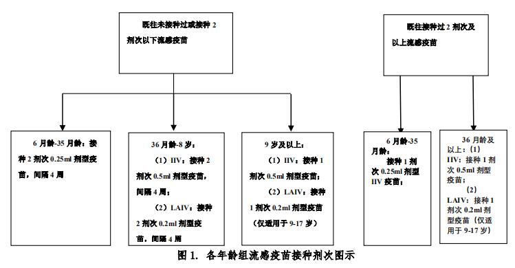 橡胶配合剂分为哪四大体系