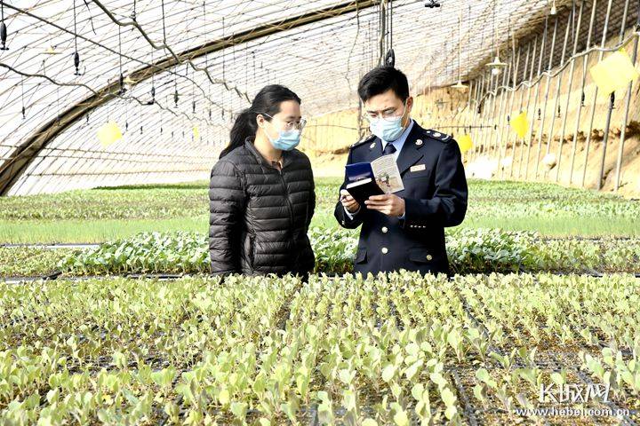 财经热点图片，揭示市场动态，洞悉经济趋势