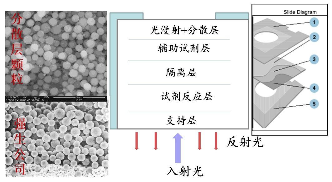 涤纶丝纺丝工艺