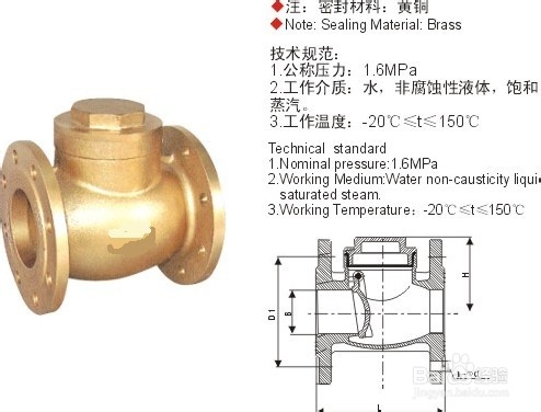 止回阀和锅炉之间应装